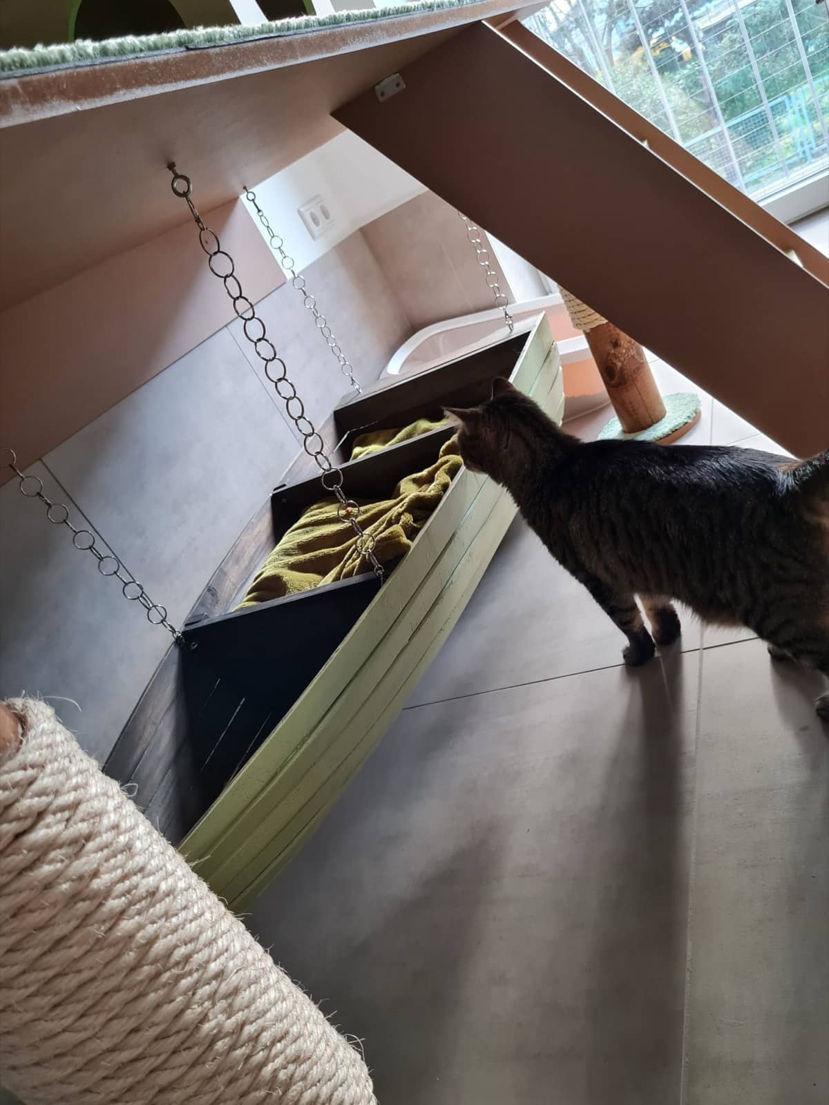 Katze am schaukelnden Schiff
