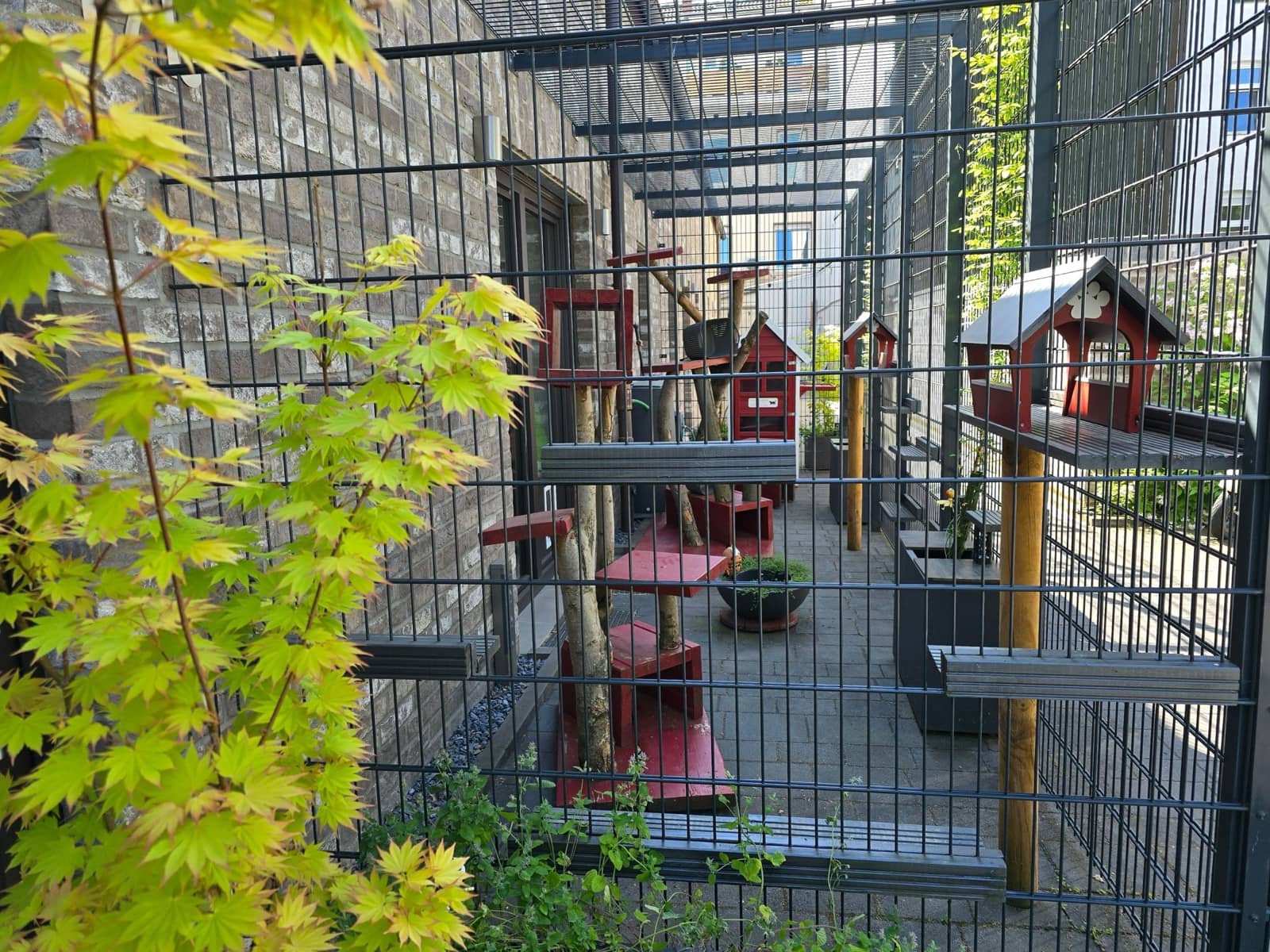 Gesichertes Außengehege